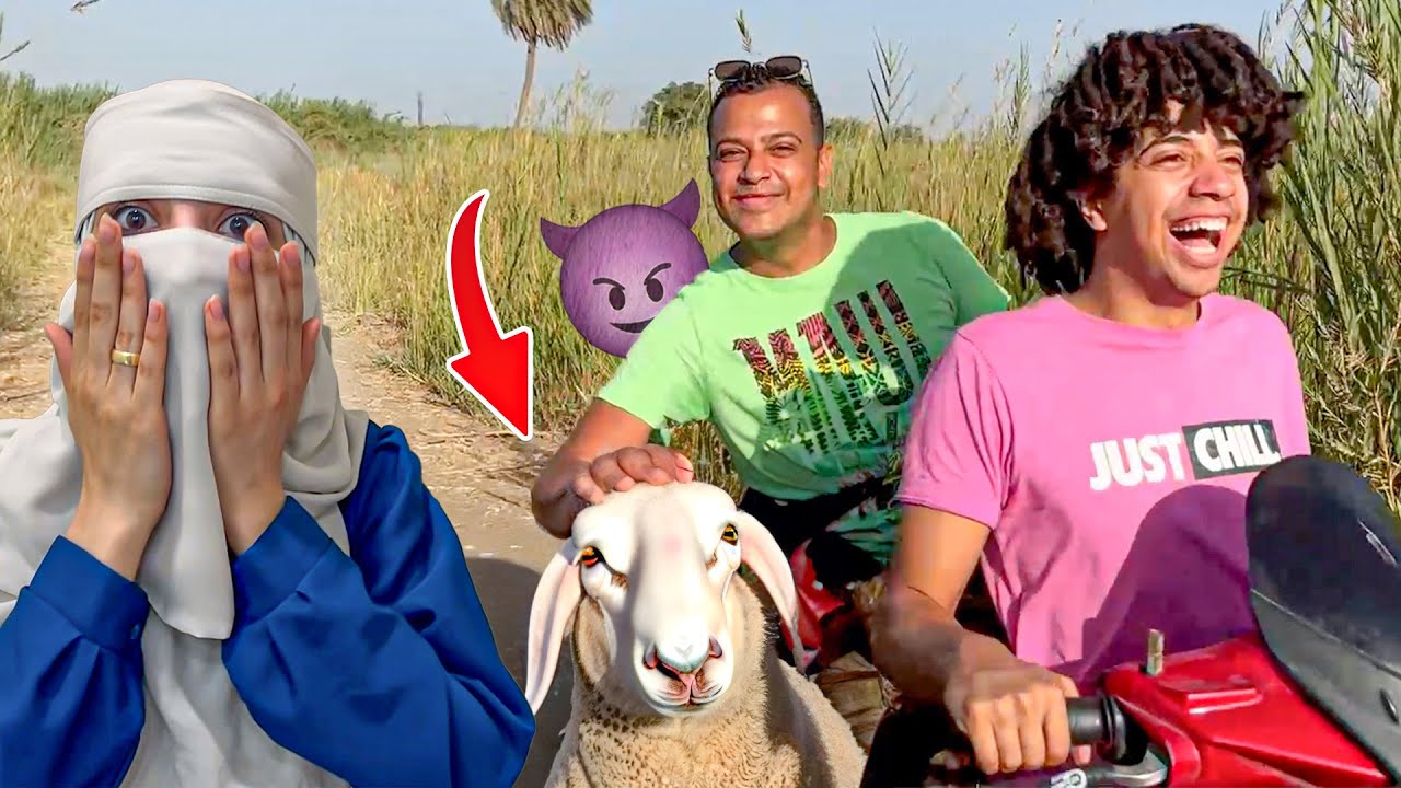 هجبيب خروف يعيش معانا فالبيت 😨 ( مراتي طلبت الط*لاق! )