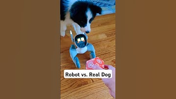 Loona Robot Pet vs. Real Dog 😆 #cute #funny #dog #pet #shorts