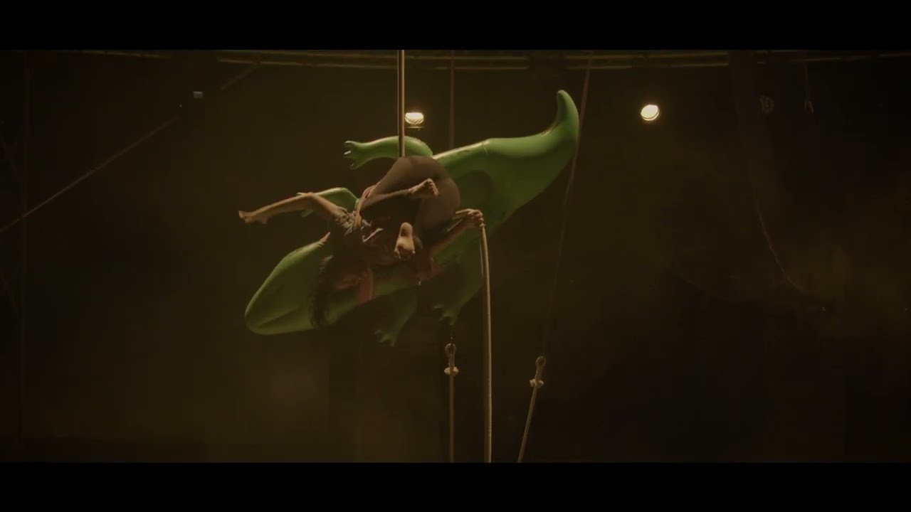 Je veux être un Crocodile