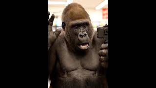 Gorilla Buys Snackswhat Happens Outside The Store?