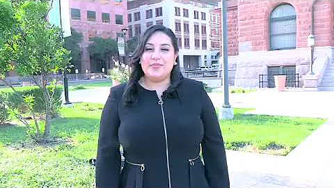 Erica Dominguez, for Judge, County Court at Law No...