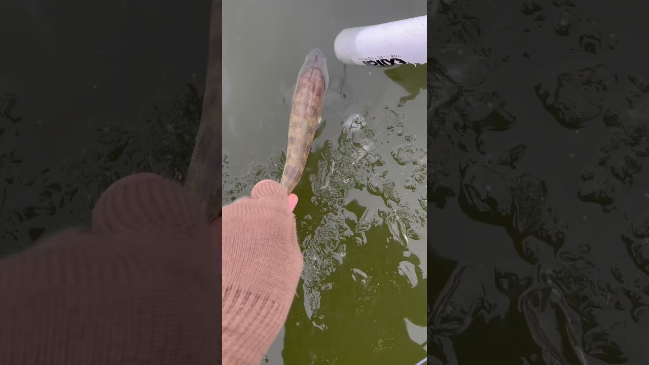 Sketchy Paper Thin Ice 