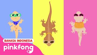 Cicak cicak di dinding | Lagu Anak | Baby Shark Pinkfong Indonesia