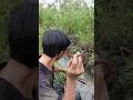 NEMU BELUT MERAH DI RAWA BEKAS WARGA MEROGOH
