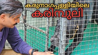 കരിമ്പുലിയെ കൂട്ടിൽനിന്നും തുറക്കണം.. Dog challange.. leash talks