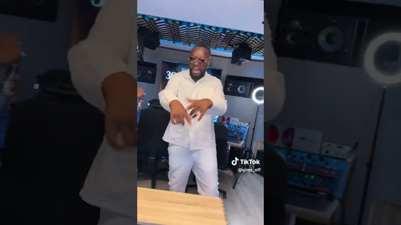 Gims ft Damso - Tu me rends bête (extrait)