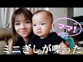 頑張れ、ミニぎし