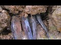 Amazing #Top 5 Video_Viral Video Catching A lot of Fish in Underground on Rainy Season By Fishes