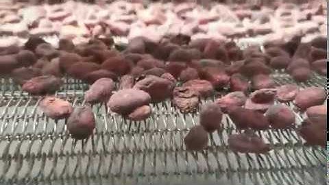 Cocoa Beans Processing Machine, Roaster Machine