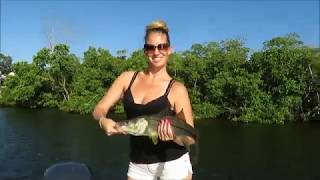 Sarasota Snook And Jack With Erin