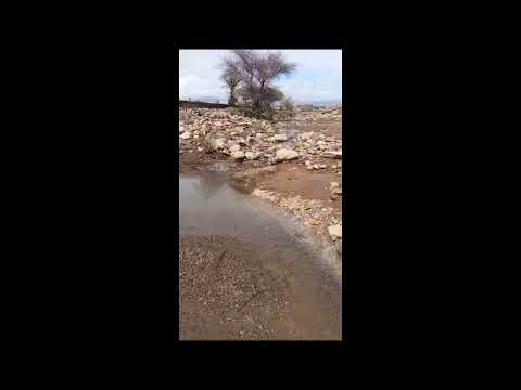 بعد فترة الجفاف الماء العذب يسيل ب تايشوت النيف تنغير بعد الامطار الغزيرة والفيضانات بالجنوب الشرقي