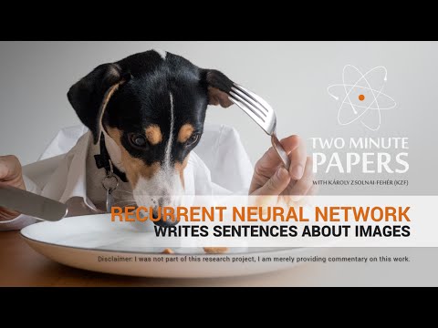 Training A Neural Network For Kaggle Cats And Dogs Training A Neural Network For Kaggle Cats And Dogs