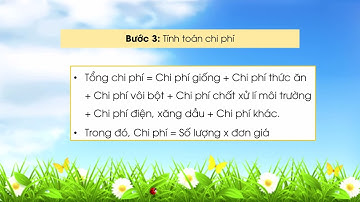 Bài 12 CN 7 cánh diều: Quy trình nuôi cá nước ngọt trong ao