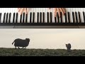 Js bach  sheep may safely graze piano arrangement