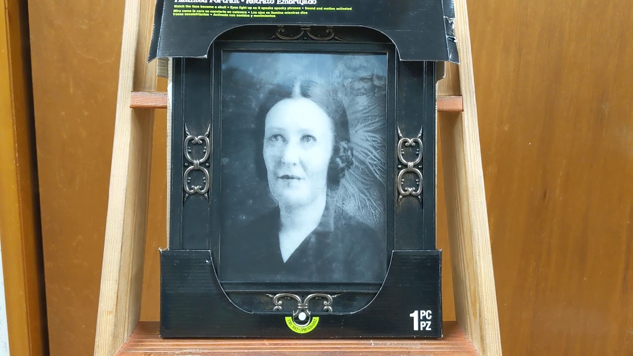 Animated Lenticular Banshee Woman Portrait Frame Gemmy Halloween 09 10 Youtube