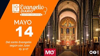 Lectura y reflexión | 14 de mayo 2024 | Del santo Evangelio según san Juan: 15, 9-17