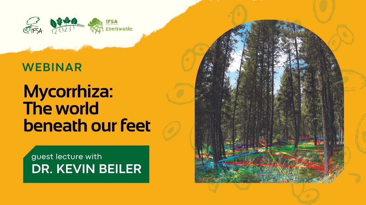 Mycorrhiza "The world beneath our feet"