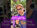 Secret To Getting Fruit On Apple Trees Fruittrees Gardening Shorts Appletrees Orchard Fruit 