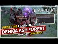 First time learning dehkia ash forest  awakening dark knight  black desert