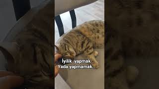 Hayat Bu Değişik..