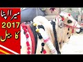 My Cow Of Qurbani Eid 2017-Bakra Eid Vlog-Chand Raat Ky Mazy In Lahore-CowMandi 2020-Chand Raat Vlog