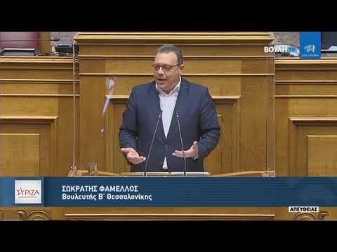 Σ. Φάμελλος_Ολομέλεια_IGB_Forum Cairo_26.01.21