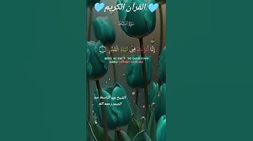 سورة القدر #القرآن #المصحف #اكسبلور #تيك_توك