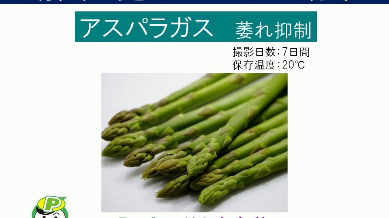 アスパラガス | 住友ベークライト株式会社