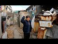 Inside Korea's Largest Illegal Slum 🇰🇷