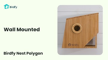 Wall Mounted - Birdfy Nest Polygon Tutorial