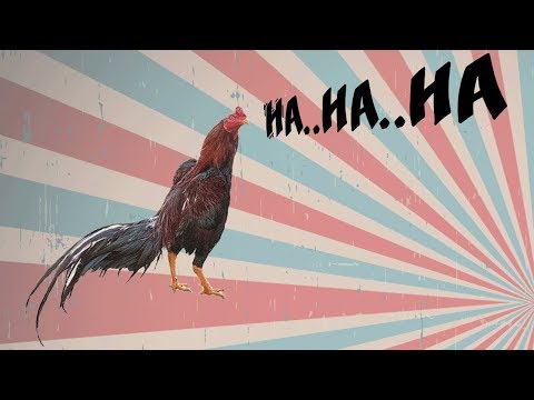 Ayam Laughing Chicken
