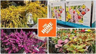 Home Depot Inventory March 2024 Spring is Here! Flowering Shrubs, Evergreens, & Summer Bulbs!