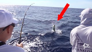 Mahi are starting to show up again {Catch Clean & Cook} by South Florida Fishing Channel 16,040 views 2 months ago 15 minutes