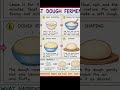 🍞 Yeast Dough Fermentation Toon Chart 🧪Creative Poster Making | School Project #hhw Science Chart