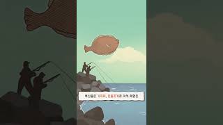 바다배낚시, 스쿠버다이빙, 자연산 미역 건조 체험이 가능한 이곳 shorts