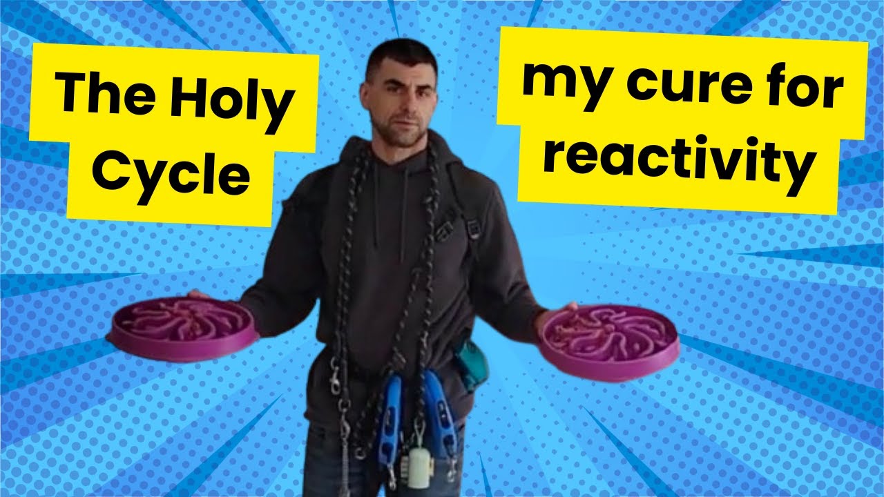 Holy Cycle Heal Your Dog's Reactivity With the Holy Cycle - YouTube