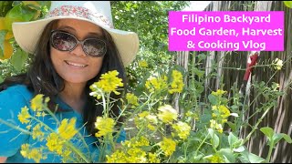 Filipino Backyard Food Garden, Harvest and Cooking Vlog - Garden to Table #gardening #urbangardening