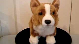 Corgi Dog - Soft Toy - Faithful Friends - www.TidyToys.co.uk screenshot 4