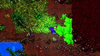 Tibia | Julera - PK Before Server Save