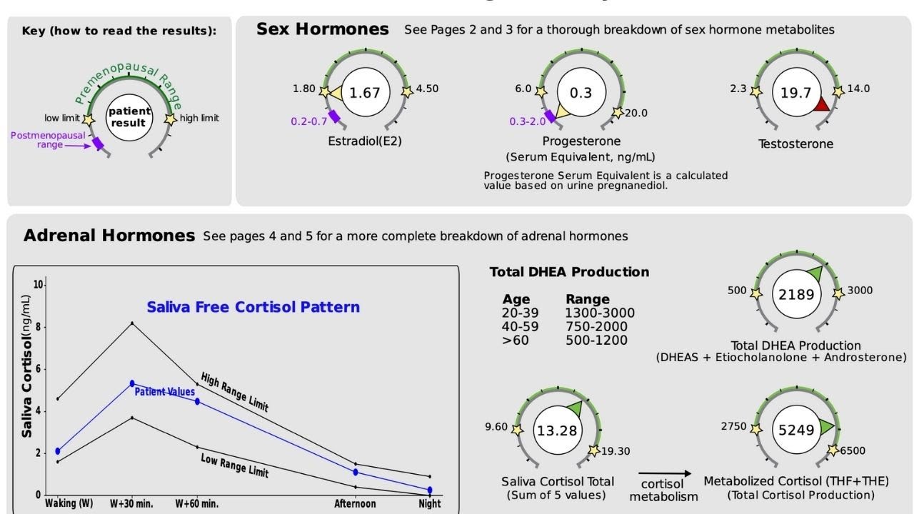 Dutch Hormone Test Cortisol edu.svet.gob.gt