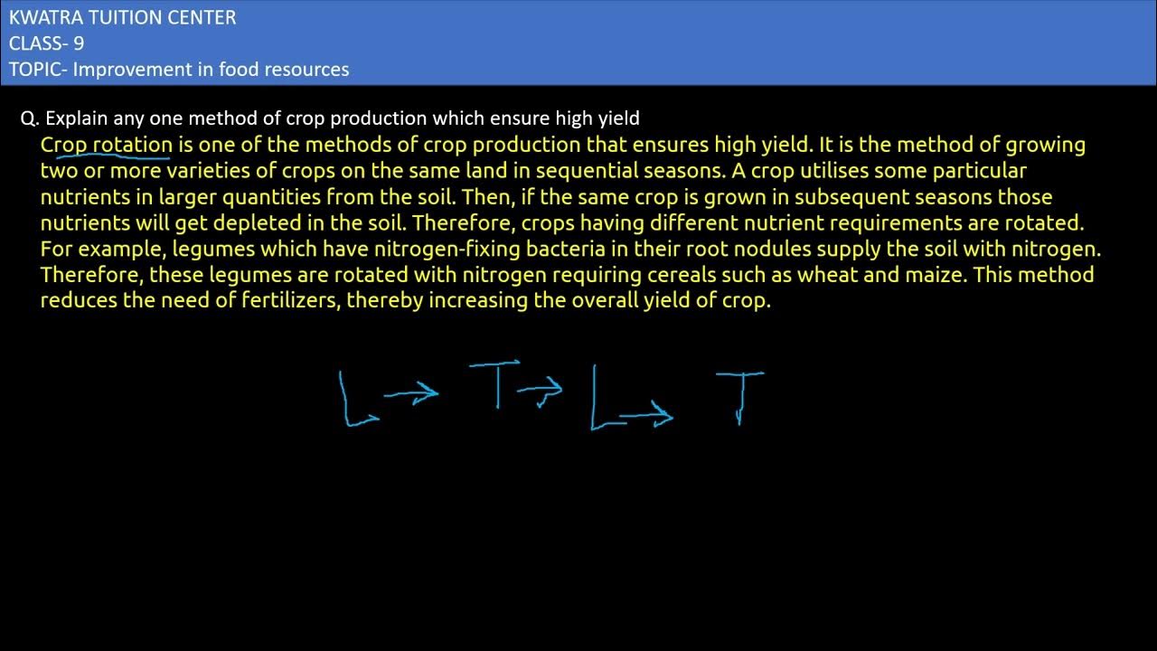 16 Explain Any One Method Of Crop Production Which Ensures High Yield 16-explain-any-one-method-of-crop-production-which-ensures-high-yield