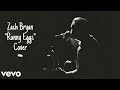 Zach Bryan Runny Eggs Official Country Music Cover mp3