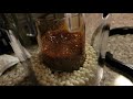 honey in vacuum chamber