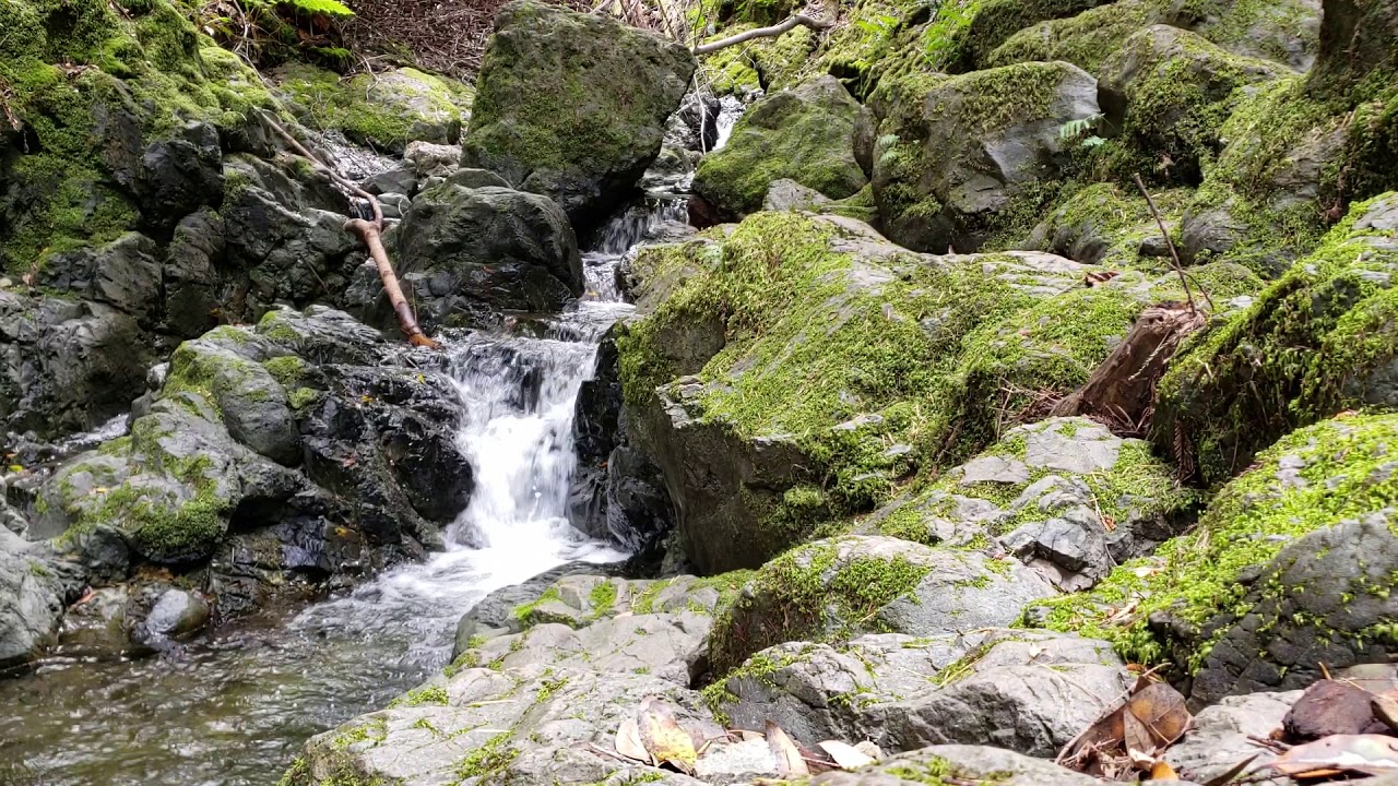 Clip : Wonderful Waterfall at Mt. Tamalpais Watershed, CA