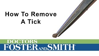 How to Remove a Tick From a Dog by Drs. Foster and Smith Pet Supplies 15,920 views 7 years ago 54 seconds