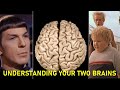 Understanding Your Two Brains