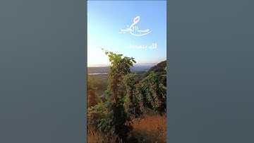 قران كريم #اكسبلور #تيك_توك #راحة_نفسية #duet #لايك #حالات_واتس #nature #دويتو #beautiful