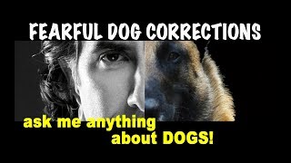 Corrections for Fearful Dogs - Dog Training Video and Lecture