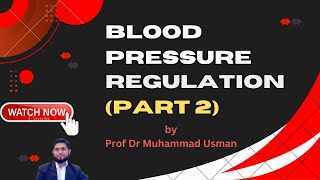 Blood Pressure Regulation (part 2/2) | Intermediate & Long Term Regulation of BP | CVS Physiology