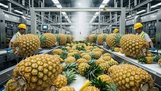 Famous Inside a Massive Pineapple Canning Plant: How Tropical Fruits Become Global Pantry Essentials Profile
